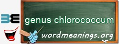 WordMeaning blackboard for genus chlorococcum